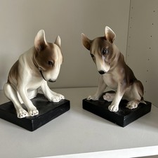 English bull terrier for sale  BIRMINGHAM