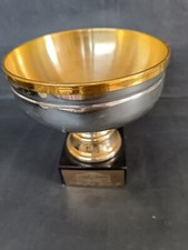 Trofeo coppa rallye usato  Italia