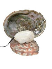 Abalone shell lamp for sale  Kingsville