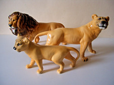 african lioness cubs for sale  UK
