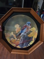 collector plate frames for sale  West Plains