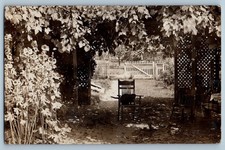 1913 black cat for sale  Terre Haute