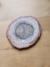 pflanzen fossilien gebraucht kaufen pflanzen fossilien gebraucht kaufen Marburg