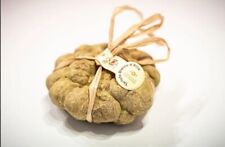 Tartufo bianco pregiato usato  Alba