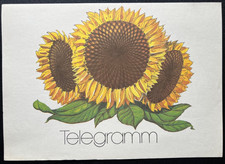 Telegramm schmuckblatt zeiten gebraucht kaufen  Berlin