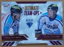 Del 2013 ultimate gebraucht kaufen  Bernau