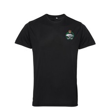 Royal tank regiment for sale  BACUP
