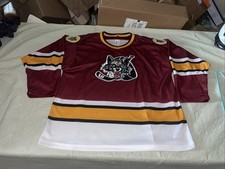 Chicago wolves ihl for sale  Oxford