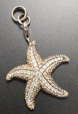 charm seestern gebraucht kaufen charm seestern gebraucht kaufen St Ingbert