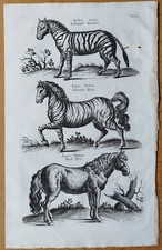 Merian johnston riginal gebraucht kaufen  Neuendettelsau