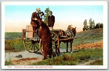 Cartão postal ANTIGO 8868 de alimentação de urso selvagem Yellowstone Park cavalo e buggy comprar usado  Enviando para Brazil