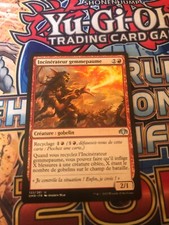 Incinerateur gemmepaume carte d'occasion  Carry-le-Rouet