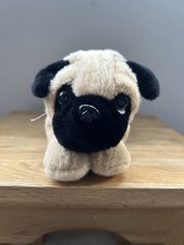 Laying pug dog for sale  LEEDS