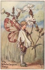 White campion fairy for sale  LONDON