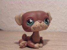 Lps littlest pet gebraucht kaufen  Schwarzenbek