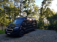 Handcrafted grid peugeot for sale  TORPOINT