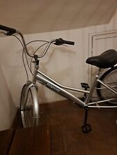 Bicicletta triciclo per usato  Grugliasco