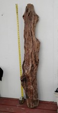 Long driftwood branch for sale  Brookings