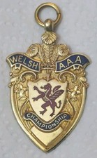 Vintage welsh amateur for sale  SOUTH MOLTON