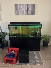 120 gallon aquarium for sale  Tucson