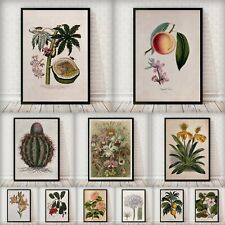 Retro vintage botanical for sale  BRISTOL