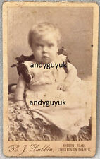 Cdv rare robert for sale  CHESTERFIELD