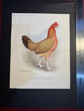 Original poultry supplement for sale  NORTHAMPTON