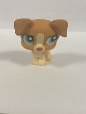 Lps jack russel for sale  NEWCASTLE UPON TYNE