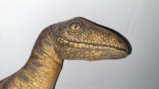 Jurassic park velociraptor for sale Jurassic park velociraptor for sale  LINCOLN