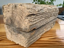 Treibholz brett balken gebraucht kaufen  Rheinmünster