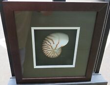 Framed mounted chambered for sale  BANBURY