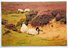 1989 yorkshire north for sale  CHELTENHAM