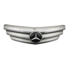 Griglia radiatore mercedes usato  Venetico