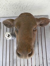 cow s for sale cow s for sale USA