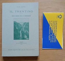 Trentino saggio geografia usato  Italia