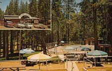 Pine grove california for sale  USA