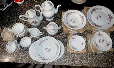 poland china for sale poland china for sale Campobello
