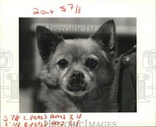 1984 press photo for sale  Memphis
