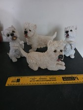Selection cute west for sale  OTLEY