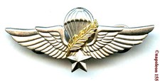 Parachutiste brevet para d'occasion  Paris V