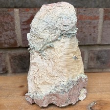 Micro copper silicious for sale  Bowling Green