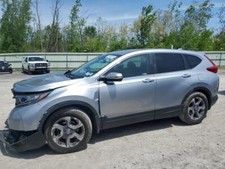 Used right tail for sale  Cicero