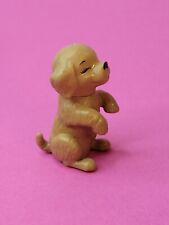 Puppy pet animals for sale  Chicago