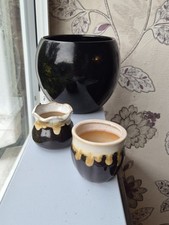 Black vase plant for sale  SANDHURST