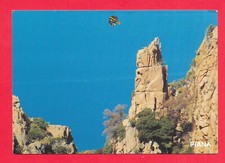 Corse sud piana d'occasion  Brignais