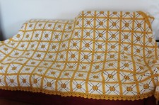 Coppia coperte lana usato  Caserta