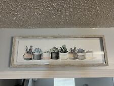 Succulent plant flower for sale  Dalzell