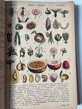 Placa colorida manual Louis-Marie Flore Manuel Quebec Botany 1950 comprar usado  Enviando para Brazil