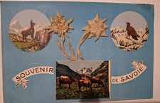 Carte postale cpa d'occasion  Montluçon