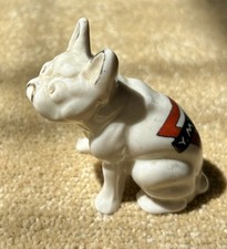 china bulldogs for sale  BOURNEMOUTH